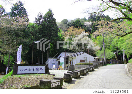 八王子城跡 15223591
