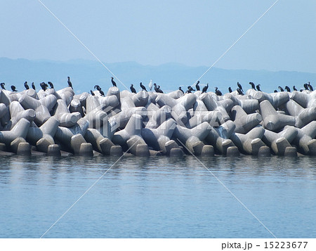 テトラポッド 15223677