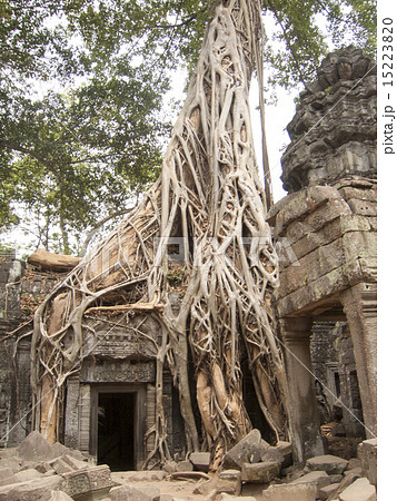アンコールワット・タプロム 15223820