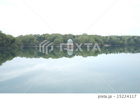 多摩湖 15224117