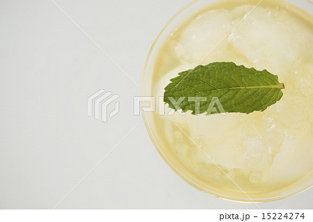 ミントティー 15224274