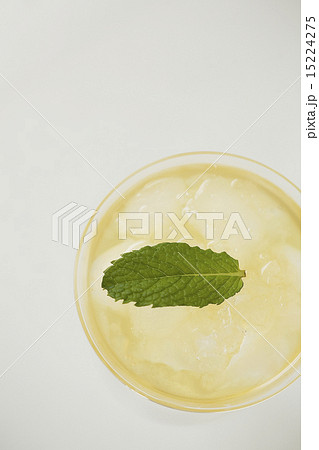 ミントティー 15224275