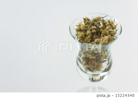 カモミール 15224340