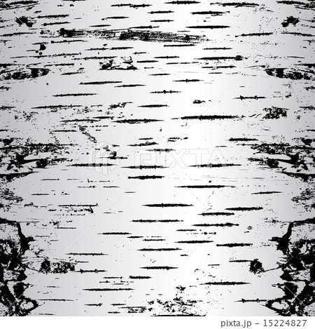 bark of birch in the cracks texture. Vector bark of birch in the cracks texture. Vector 15224827
