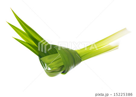 Pandan leaves Pandan leaves 15225386