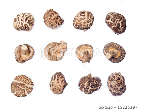 many shiitake mushrooms 15225397