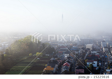濃霧の朝 15225616