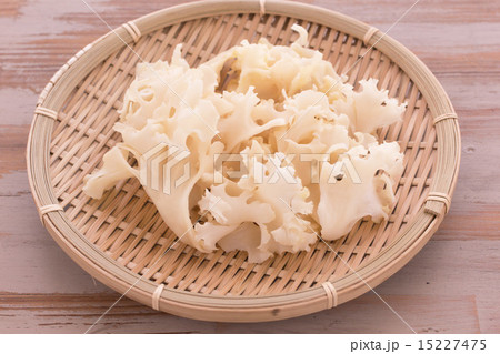 はなびら茸 15227475