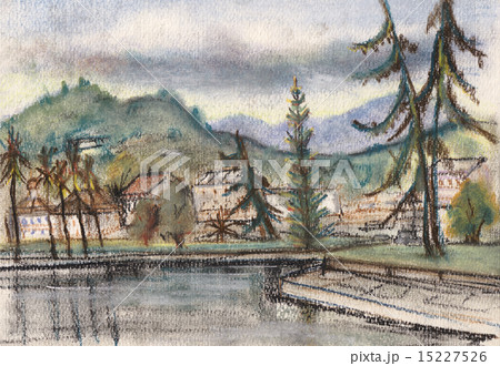 Larches at the sea 15227526