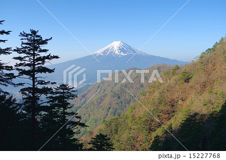 三ッ峠から富士山 三ッ峠から富士山 15227768