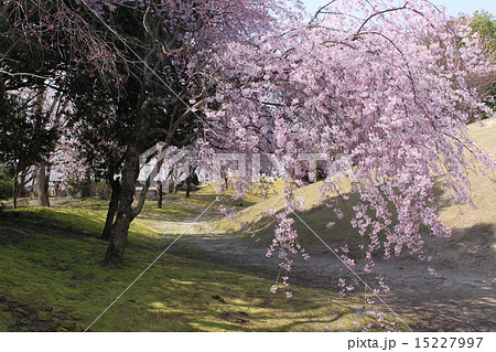 古戦場公園 古戦場公園 15227997