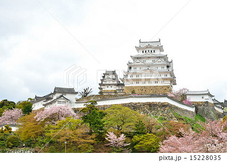 桜の姫路城 15228035