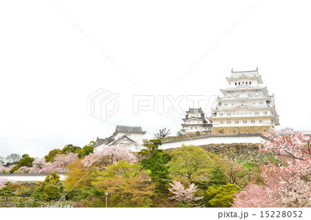 桜の姫路城 15228052