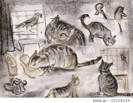 Cat and canary 15229134