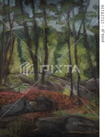 Part of park with trees and stones Part of park with trees and stones 15229136
