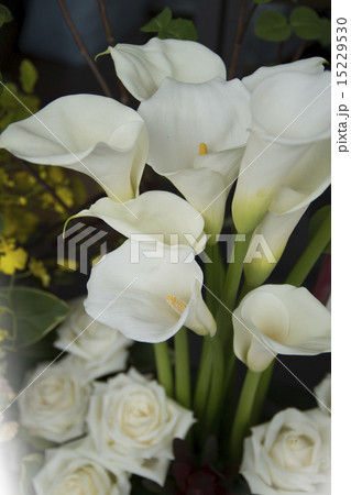 結婚式の花（カラーリリー） 15229530
