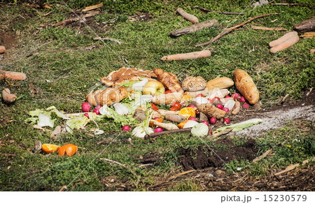 Food for bears Food for bears 15230579