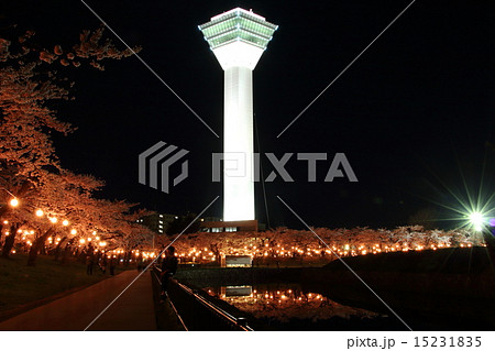 五稜郭公園 夜桜 ライトアップ 五稜郭公園 夜桜 ライトアップ 15231835