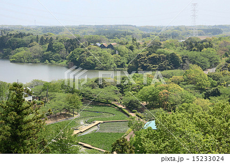袖ケ浦公園 15233024
