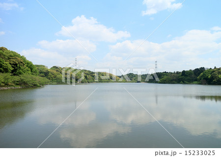 袖ケ浦公園の上池 15233025