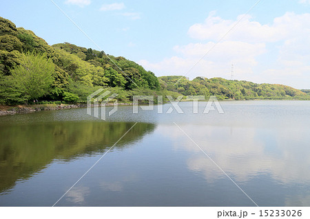 袖ケ浦公園の上池 袖ケ浦公園の上池 15233026