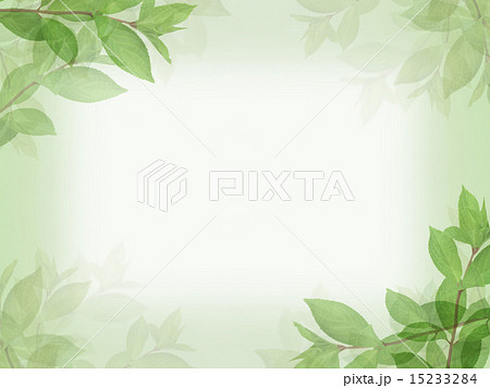 ナチュラル背景 葉 紙のイラスト素材