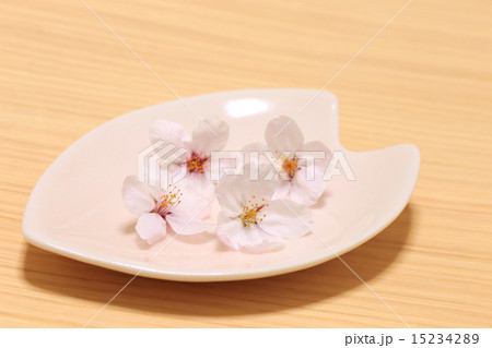 小皿にのった桜の花 小皿にのった桜の花 15234289