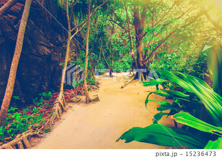 Travel landscape Travel landscape 15236473