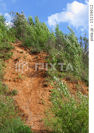 landslide in forest landslide in forest 15239012