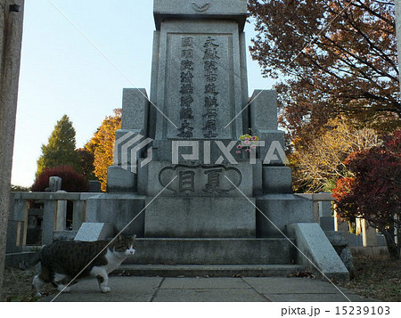 夏目漱石の墓　＃２ 15239103