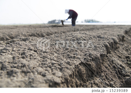 耕す 15239389