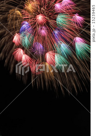 花火 15239465