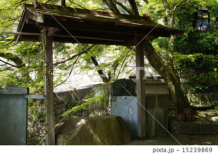 古井戸 15239869