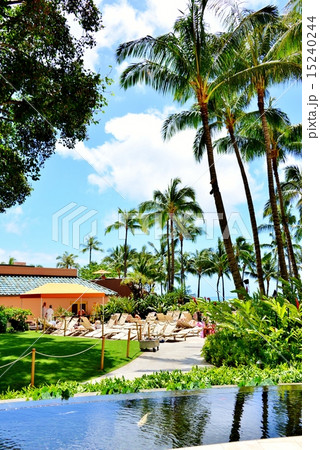 ハワイの休日 15240244