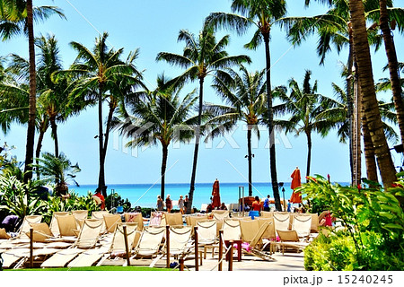 ハワイの休日 ハワイの休日 15240245
