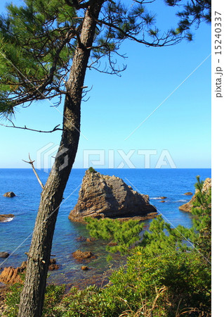 天草西海岸 岩礁と松 15240337