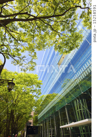 せんだいメディアテーク せんだいメディアテーク 15258591