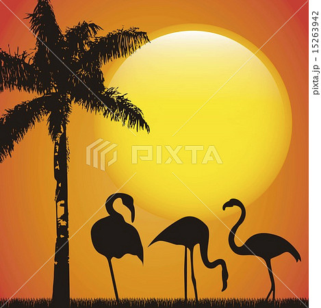 flamingo over late afternoon background animal vector illustrati flamingo over late afternoon background animal vector illustrati 15263942