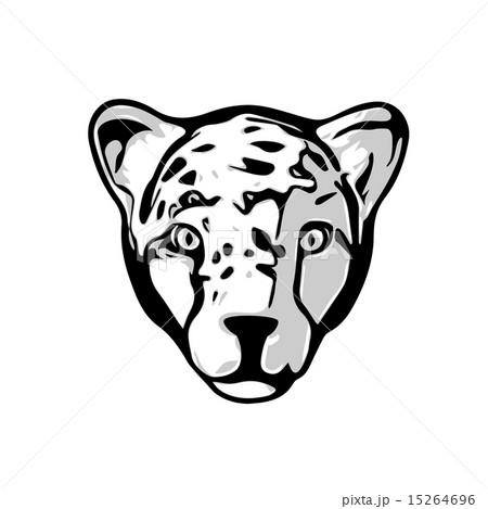 Head of Cheetah Head of Cheetah 15264696