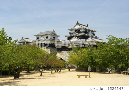 新緑の松山城 15265474