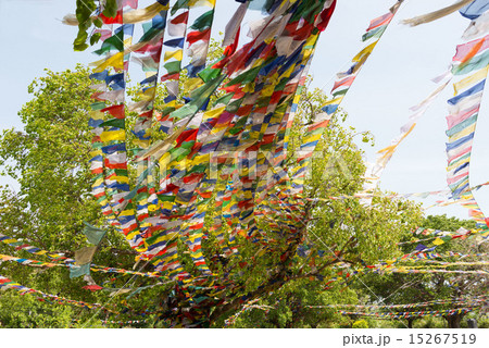 ネパール ルンビニ 五色の旗 タルチョの写真素材