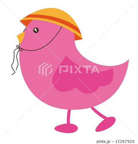 pink cute bird with hat over white background vector illustratio 15267920