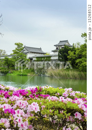福岡城潮見櫓とお堀 15268512