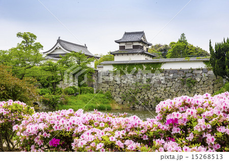 福岡城潮見櫓とつつじ 15268513