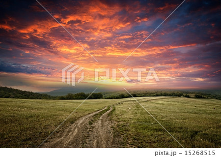 Dirt road 15268515