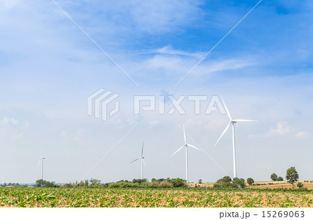 Electrical Eco power maker wind turbine in cassava Electrical Eco power maker wind turbine in cassava 15269063