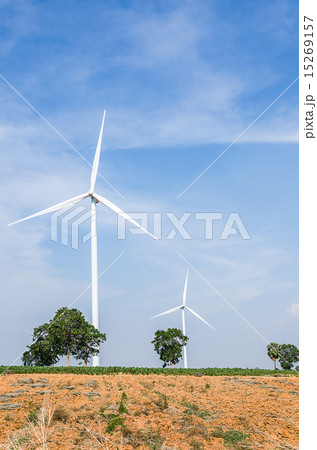 Electrical Eco power maker wind turbine in cassava 15269157