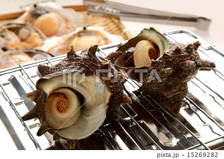 サザエ つぼ焼き 貝 網焼き サザエ つぼ焼き 貝 網焼き 15269282