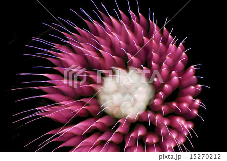 花火（特殊撮影による抽象表現） 15270212