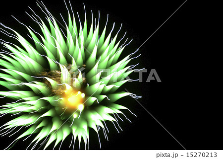 花火（特殊撮影による抽象表現） 15270213